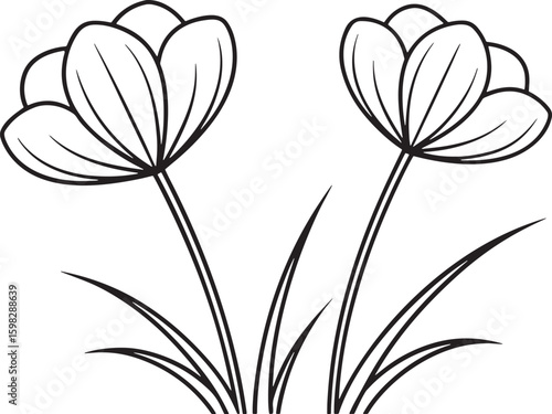 Two delicate flower blooms slender stems grass petal