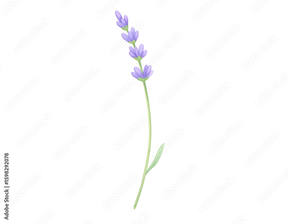Fototapeta premium Pixel Art Lavender: A Delicate Digital Floral Design
