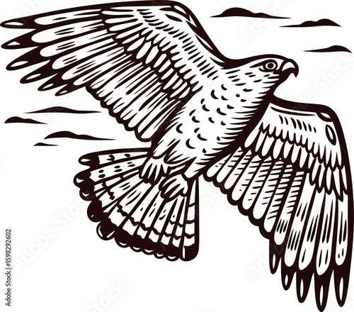 Vintage engraved drawing of a soaring hawk with outstretched wings and clouds in the background