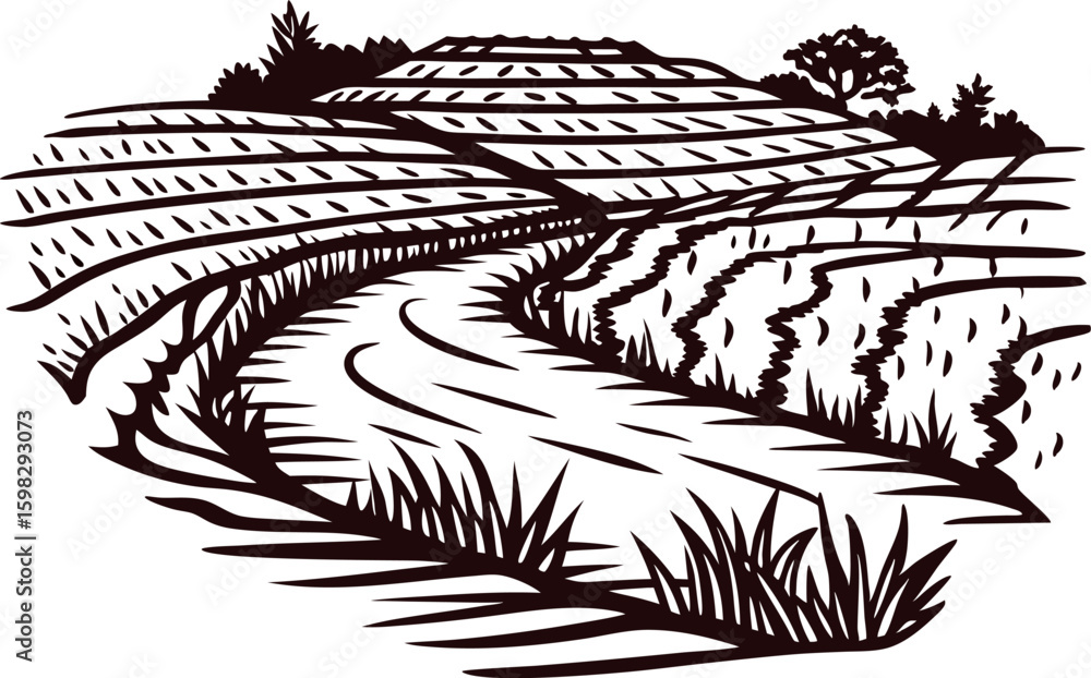 Fototapeta premium Hand drawn terraced rice field landscape with winding path and grass in vintage engraved illustration