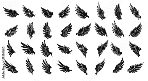 set of wings vector, black and white