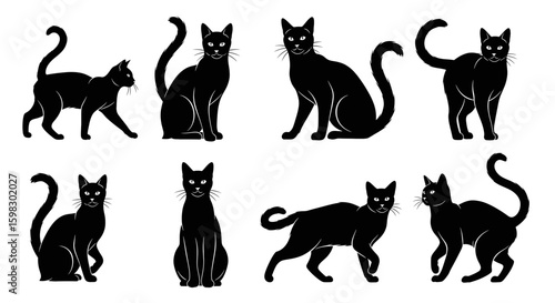 set of Black silhouette of a cat sitting or walking gracefully, long tail curved elegantly, pointy ears, sleek body, clean tribal or vector style, high resolution, minimal background
