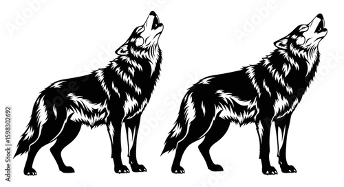 set of Black silhouette of a howling or standing wolf, sharp fur details, muscular structure, tribal or vector art style, high resolution, dramatic posture with clean edges, no background.
