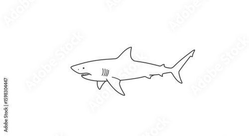 Big Shark Silhouette isolated on white background Minimalist shark vector shape
