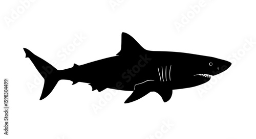 Big Shark Silhouette isolated on white background Minimalist shark vector shape
