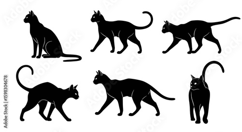 set of Black silhouette of a cat sitting or walking gracefully, long tail curved elegantly, pointy ears, sleek body, clean tribal or vector style, high resolution, minimal background
