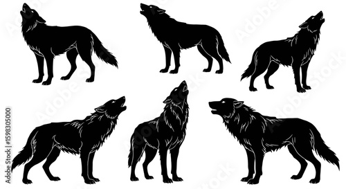 set of Black silhouette of a howling or standing wolf, sharp fur details, muscular structure, tribal or vector art style, high resolution, dramatic posture with clean edges, no background.
