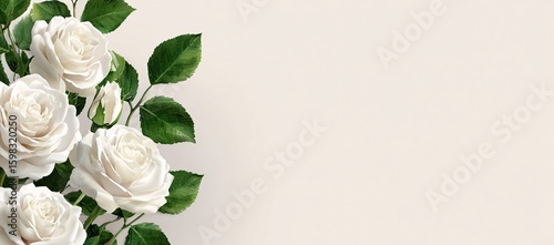 Delicate white roses bouquet on white backdrop