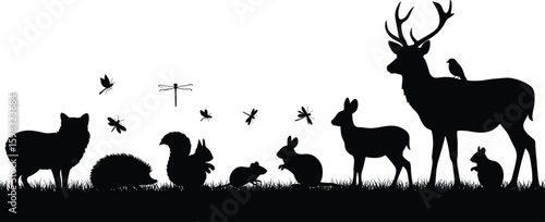 Forest animal silhouettes, wildlife diversity, natural habitat scene, deer squirrel rabbit, bird insect illustration, Adobe Stock, black and white image, woodland creatures
