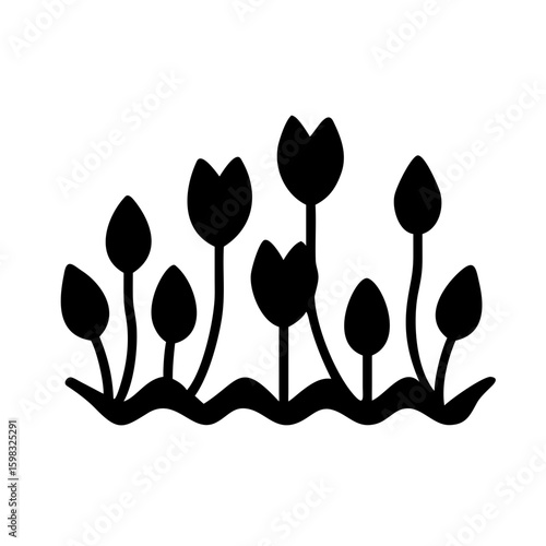 Silhouette of blooming tulips in a field with soft lighting