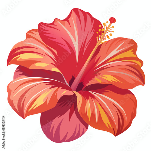 Vector illustration of a vivid red hibiscus flower on white background