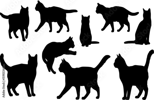 Set of cat silhouettes
