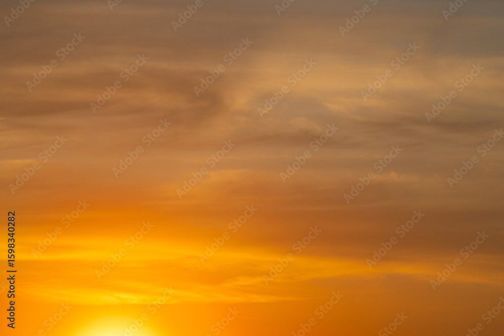 Fototapeta premium summer morning, dawn over a field with grass, sky without clouds