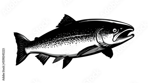 black and white salmon fish drawing clip art preview