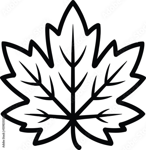 Illustration of a stylized maple leaf with bold black outlines and internal veins design element