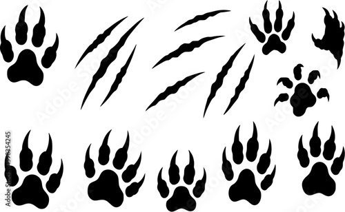 Animal silhouette claw paw marks, scratches, talons cuts cat, tiger, dog, lion, monster isolated on white background. Vector flat illustration. Design for animal print, banner, poster See Less
