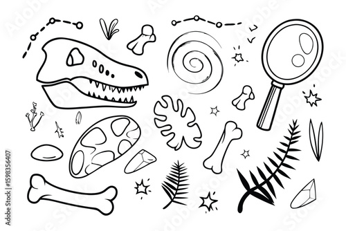 Unearthing the Past: An artistic ensemble of prehistoric artifacts and research tools.