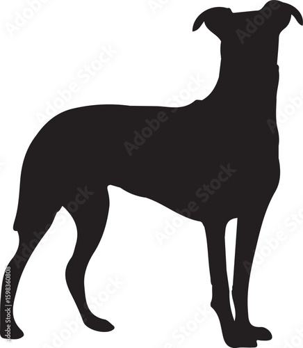 silhouettes of dogs, dog silhouette vector, animal, silhouette, vector, dog, horse, illustration, cat, mammal, pet, animals, nature, farm, black, art, cartoon, icon, wild, running, deer, design, silho