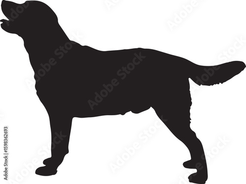silhouettes of dogs, dog silhouette vector, animal, silhouette, vector, dog, horse, illustration, cat, mammal, pet, animals, nature, farm, black, art, cartoon, icon, wild, running, deer, design, silho