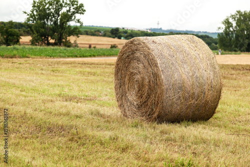 Hay bales in a field. Close-up .