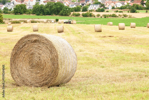 Hay bales in a field. Close-up .