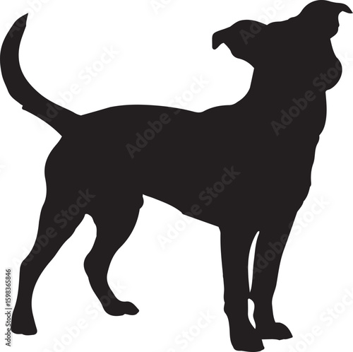 silhouette of a dog