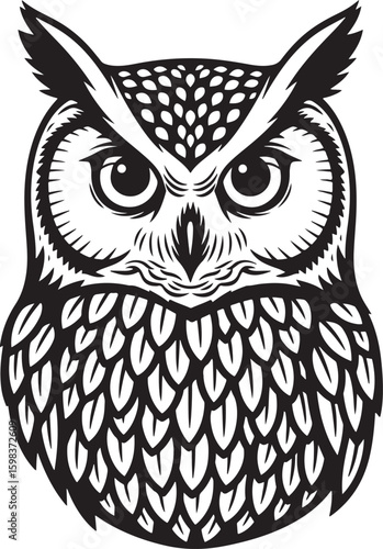 Intricate Black and White Owl Head Design.