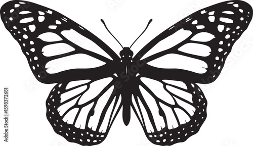 Striking Black and White Butterfly Silhouette with Intricate Wing Patterns.