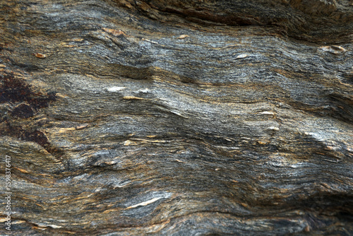 Dark and light stripes alternate in a curved pattern on the gneiss surface.  