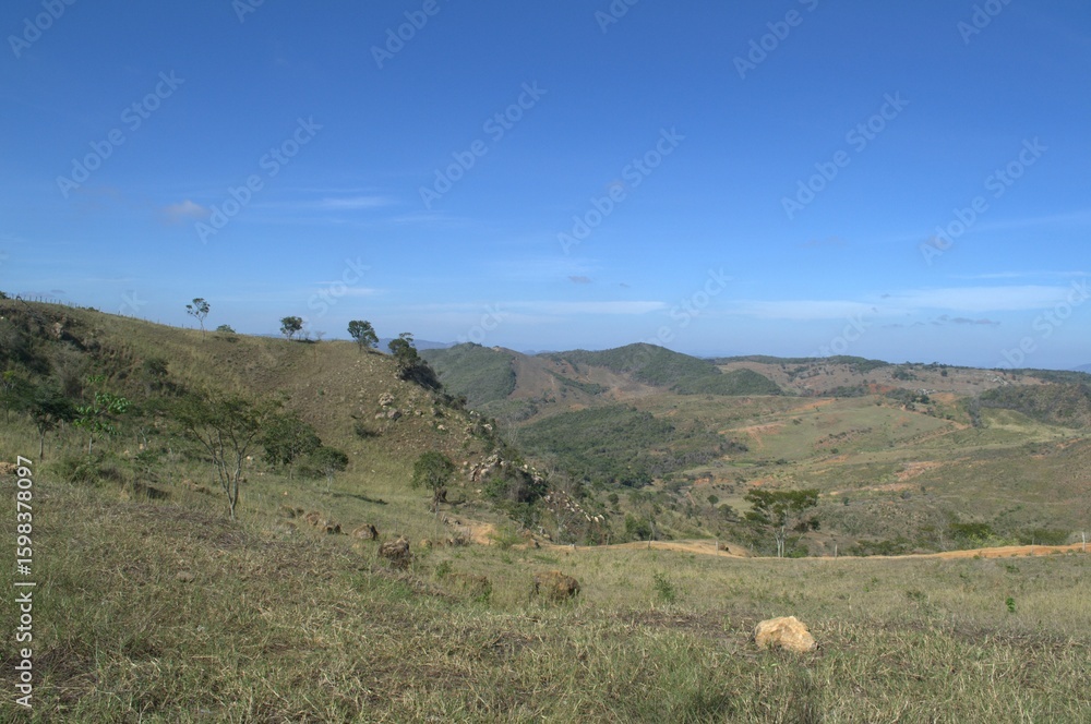 Obraz premium One of the most outstanding characteristics of Venezuela is its immense greenery, large jungles, forests and savannahs fill the territory.