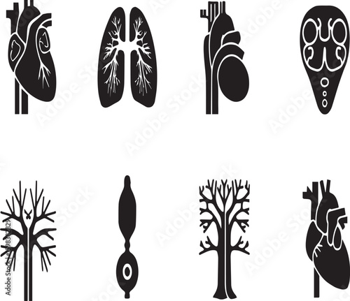 A collection of eight black and white anatomical and botanical icons in a symmetrical arrangement