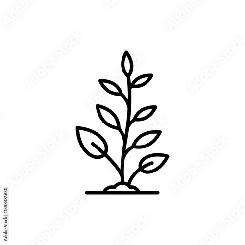 Thin Outline of Heat-Tolerant Plants