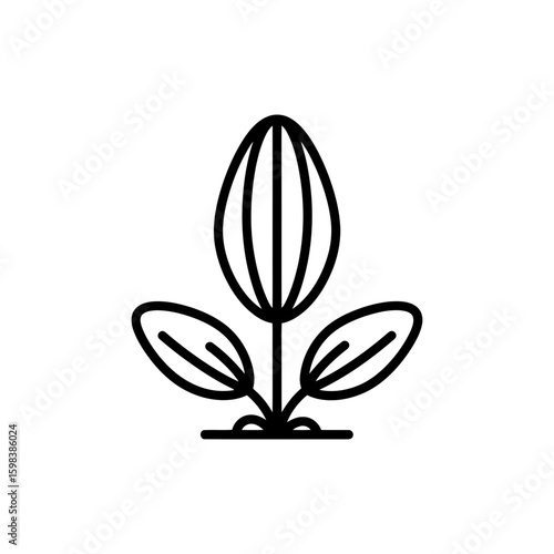 Linear icon of wild plantain leaf in thin black outline style