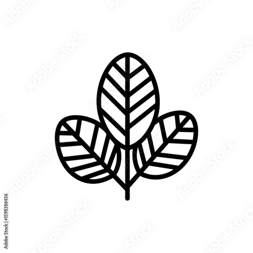 Thin Outline of Custard Apple Leaves