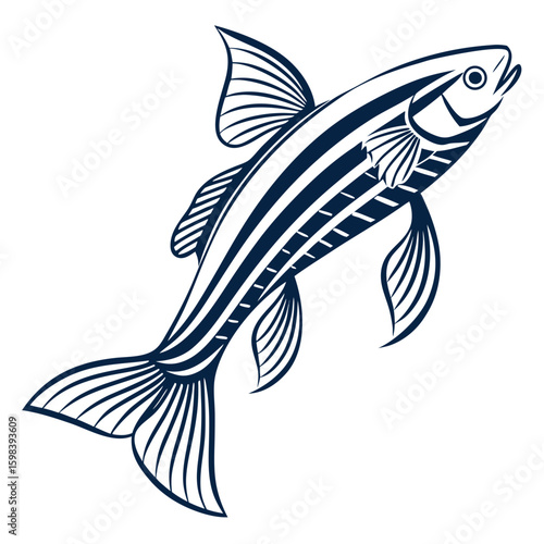 Zebra Danio Vector Illustration – Striped Tropical Aquarium Fish Design