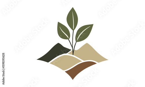 Green plant in a pot on white background with eco friendly and natural growth concept.