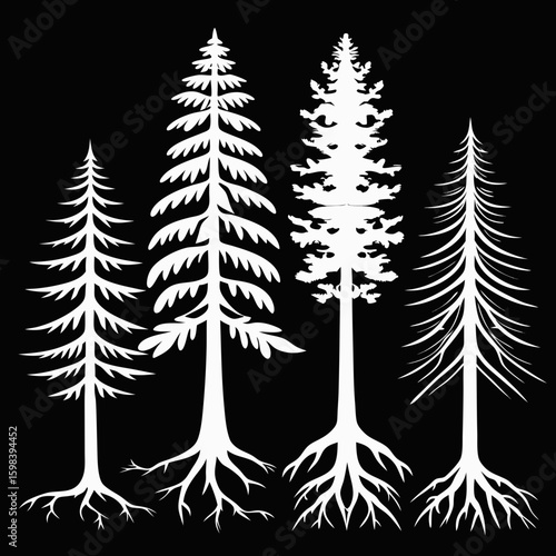 Four stylized white pine trees with visible root systems against a black background