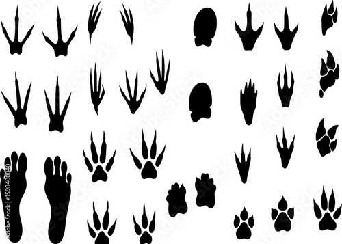 Animals footprints. Prints animal bird paw, wildlife foot icon, domestic pets footstep silhouette, print hoofed feet, black amphibia feet track vector set See Less
