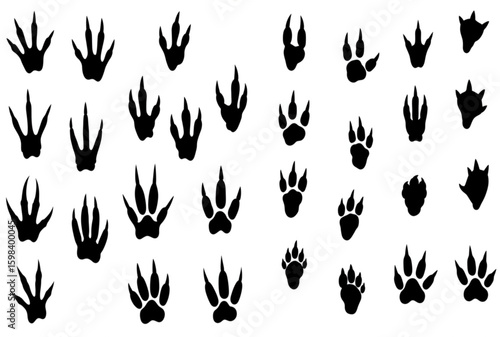 Animals footprints. Prints animal bird paw, wildlife foot icon, domestic pets footstep silhouette, print hoofed feet, black amphibia feet track vector set See Less
