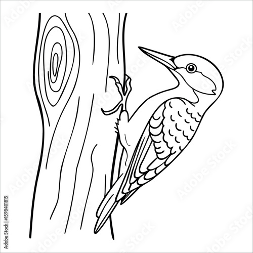 A woodpecker clings to a tree trunk. The bird has a distinct patterned body and a pointed beak, showcasing its natural behavior in a forest environment.