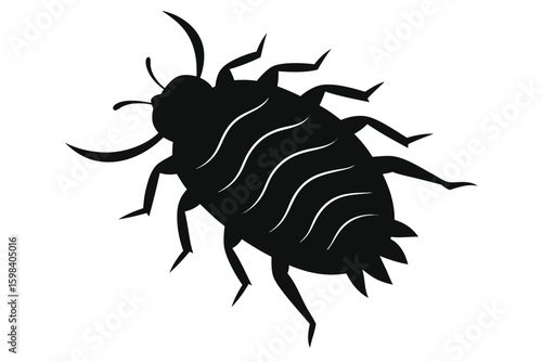 Silhouette illustration of a small insect resembling a bark louse on a white background