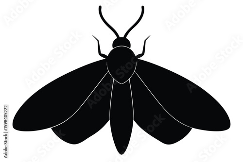 Silhouette illustration of a cabbage moth insect on a clean white background