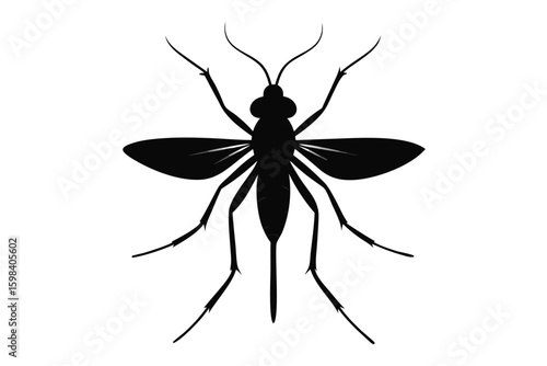 Silhouette illustration of a fungus gnat insect on a clean white background