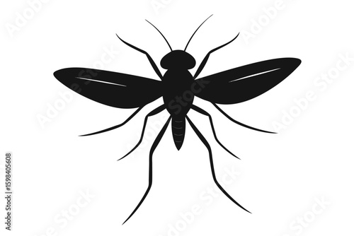 Detailed silhouette illustration of a gall midge insect on a clean white background