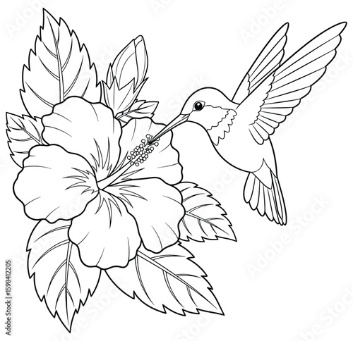 Hummingbird sipping nectar from hibiscus flower – elegant floral line art for adult coloring