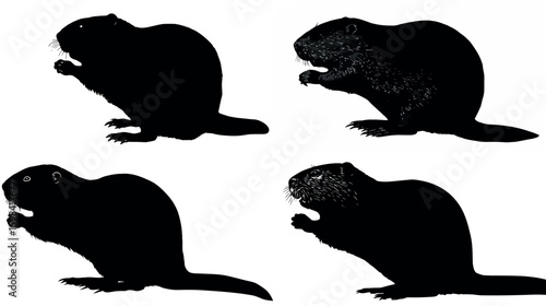 Beaver animal rodent wildlife mammal nature castor fiber black beaver, tail illustration animal beaver silhouette.