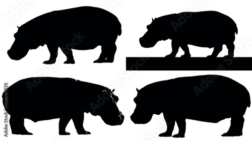 Hippopotamus silhouette animal wildlife mammal african zoo river africa hippos nature animal silhouette