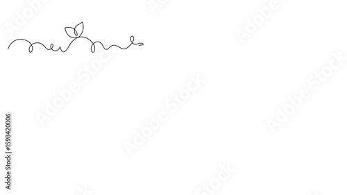 Frame with intricate lines and flowers, animated self drawing of single continuous line, contour movement, video drawing line in 4k, abstract, minimalism, natural aesthetics, border, one line