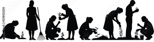 Silhouette of people gardening, nurturing plants outdoors in teamwork, showcasing environmental care, nature connection, growth, sustainability, and conservation activities.