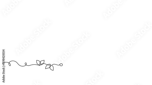 Frame with intricate lines and flowers, animated self drawing of single continuous line, contour movement, video drawing line in 4k, abstract, minimalism, natural aesthetics, border, one line